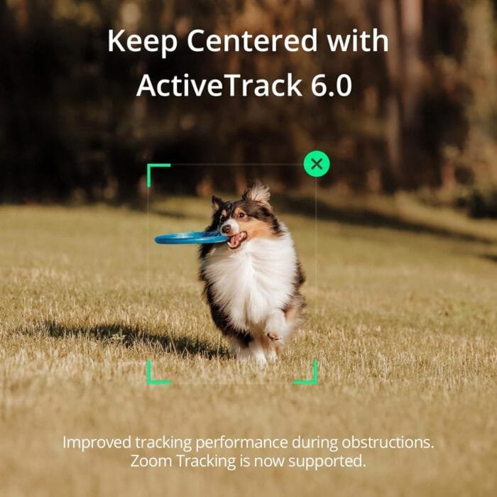 Perro corriendo mientras es seguido automáticamente por el estabilizador inteligente DJI Osmo Mobile 6 con ActiveTrack 6.0.